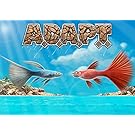 ADAPT - The card & dice game