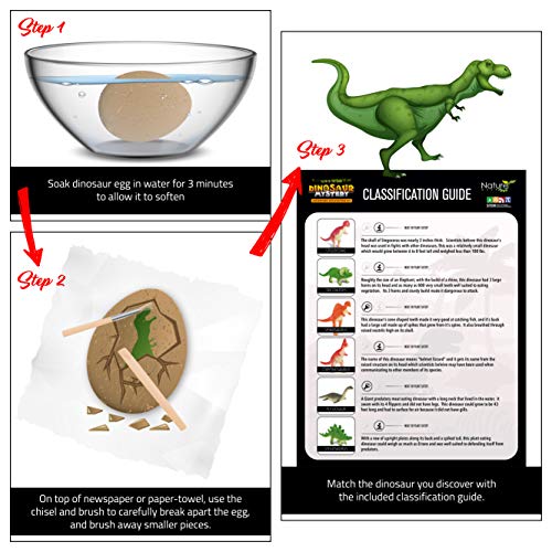 Nature Gear Glow in The Dark - 12 Mystery Excavation Adventure Dinosaur Eggs Kit - Science STEM Learning Kids Activity - Thumbnail 4