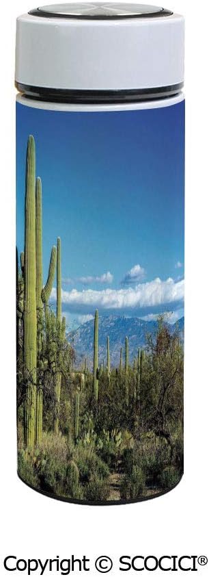 Best Phoenix Vacuum Flask Co.Ltd