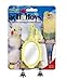 JW Pet Company Activitoy Fancy Mirror Small Bird Toy, Colors Vary