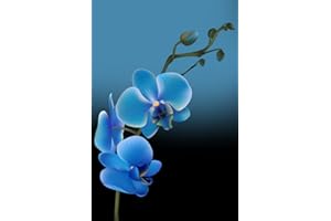 Blue Orchid Password Keeper Internet Password Book: “Find it Fast” Passwords Logbook with Big Alphabetical Tabs and Discreet Cover, Plus Sections to ... Passwords Organizer for Teens to Seniors