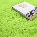 BlueSnail Super Ultra Soft Modern Shag Area Rugs, Bedroom Livingroom Sittingroom Floor Rug Carpet Blanket for Children Play Home Decorate (4' x 5.3', Rectangle, Apple Green)