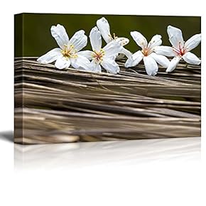 White Belladonna Flowers Over Branches - Canvas Art Home Art - 12x18 inches