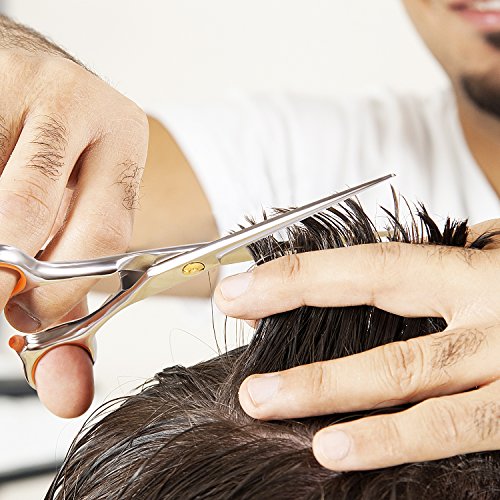Ameauty Professional Hair Cutting Scissors, 100% Stainless Steel Razor Edge Hairdressing with Antislip Design(6.7" Overall Length)