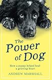 The Power of Dog: How a Puppy Helped Heal a Grieving Heart by 