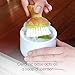 Full Circle Bubble Up - Bamboo Dish Brush – Ergonomic Palm Scrubber with Handle for Kitchen Cleaning, Green, Pack of 1