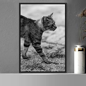 signwin Framed Canvas Wall Art Duotone Cat Animals...