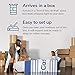 Casper Original Foam King Mattress, 2019 Model