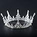 Lpteso SSNUOY Silver Plated Pearl Crystal Bridal Crown Princess Crown Headpiece for Woman