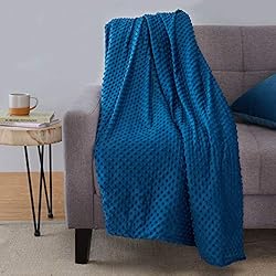 Amazon Basics Weighted Blanket with Minky Duvet