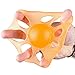 Zen Strength Hand Exerciser - Grip, Forearm Wrist Strengthener - Squeeze & Flex Finger Extension Trainer Therapy Stress Ball Training, Physical Rehabilitation Relief - Women Men (Medium)