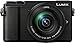 Panasonic LUMIX GX9 4K Mirrorless Camera with 12-60mm F3.5-5.6 Lens (Black) Bundle with Hand Grip, and 64GB Memory Card (3 Items)