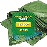 Bio Green RX-150-8x10-GB Rainexo 150
