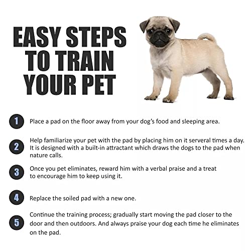 PUPPY AND DOG PEE PADS, THICKEN 6 LAYERS POTTY TRAINING PADS FOR DOGS CATS RABBITS WITH SUPER-ABSORBENT ＆ LEAK-PROOF DESIGN AND QUICK-DRY SURFACE (M, 45 * 60 CM, 50 COUNT)