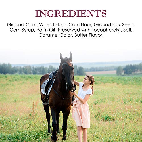 2 Ginger+Ridge+Stable+Horse+Treats