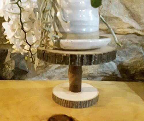 6" Log Slice plant stand, Small rustic display stand, Windowsill pot holder stand, Rustic home or wedding decoration, Candle Stand, Seasonal Decor
