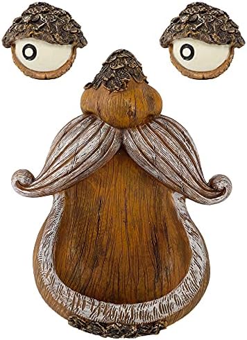 Backyard bird feeder hanging from a tree with dark design, priced at $20.99.