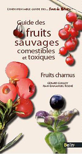 Guide des fruits sauvages fruits charnus
