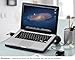 Cooler Master NotePal U2 PLUS Laptop-Kühler - 2 bewegliche 80-mm-Lüfter, Transportschutz, ergonomischer Aluminiumrahmen - Schwarz