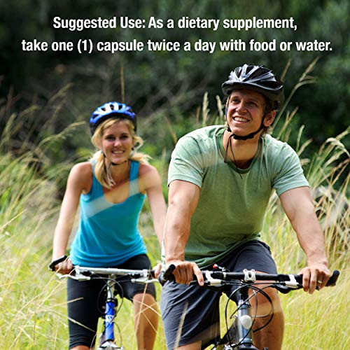 Nature's Answer Burdock Root, 90-Count Capsules Antioxidant Burdock Root