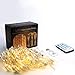 Curtain String Lights, Battery/USB Powered 200 LED Twinkle Light with Remote, Auto On/Off Setting & 8 Modes Fairy Lights for Indoor/Outdoor Bedroom Party Decor (Warm White 9.8 x 6.6Ft)