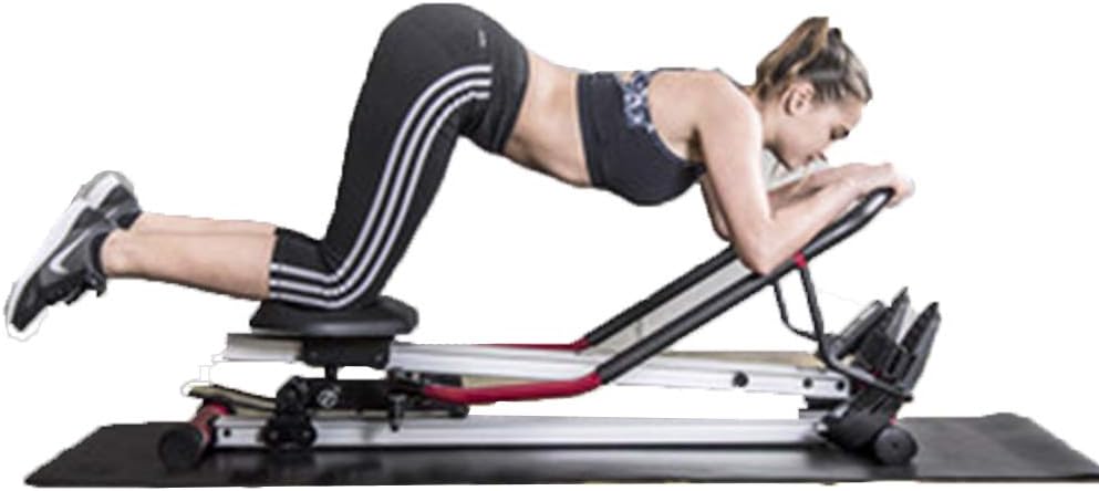 GYJ Indoor Rowing Machine Rower, fantastic Body Sculpture Twin Hydraulic Exercise Machines, Max User Weight 150 Kg/ 331 pounds Foldable Unisex