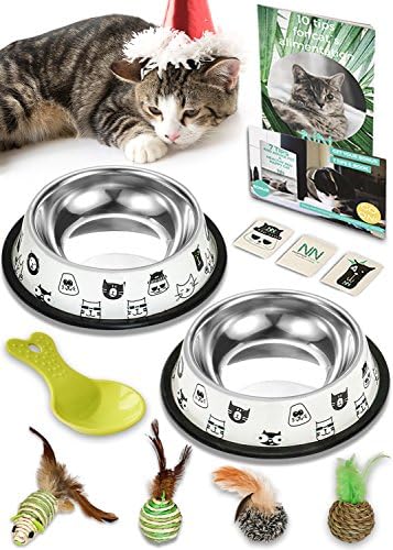 Nornor Cat Bowl Set - Includes 2 Stainless Steel Bowls Easy To Clean with Non-Skid Rubber Bottom, 4 Toys Made Of Non-Toxic &amp; Natural Materials, 1 Cup for The Perfect Portion of Food, Alimentation Book