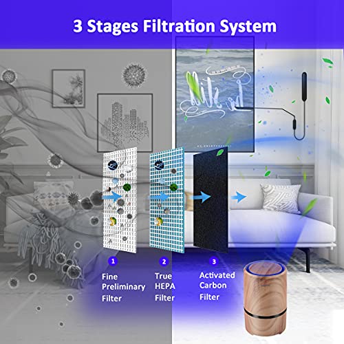WSTA Air Purifier with Hepa Filter,Portable Small Air Purifiers for