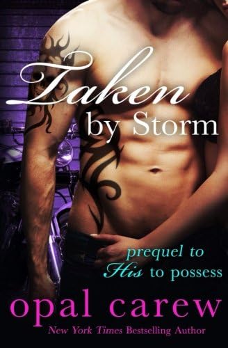 Taken By Storm Paperback – February 1, 2014