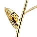 ZJchao 24K Budding Gold Rose for Her, Dipped Gold Rose Love Real Golden Plated Preserved for Wife, Girlfriend, Couple, Birthday, Anniversary, Wedding