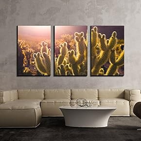 3 Piece Canvas Wall Art - Closeup of Cactus at Sunlight - Modern Home Art Stretched and Framed Ready to Hang - 16"x24"x3 Panels
