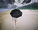 LANBRELLA Compact Travel Umbrella Vented Double Canopy Windproof Auto Open Close - Black