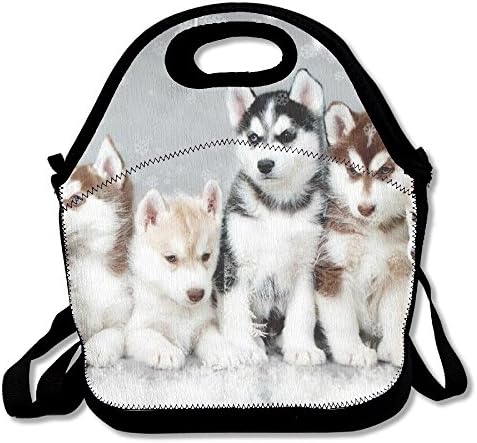 Lovely Huskies Brother Lunch Tote Bag Bags Awesome Lunch Handbag Lunchbox Box For School Work Outdoor