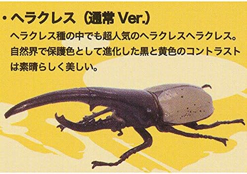Amazon ヘラクレス 通常ver 1 1 ヘラクレスオオカブト 昆虫 フィギュア ガチャ So Ta 宅配便発送 カプセル玩具 おもちゃ Amazon ヘラクレス 通常ver 1 1 ヘラクレスオオカブト 昆虫 フィギュア ガチャ So Ta 宅配便発送 カプセル玩具 おもちゃ
