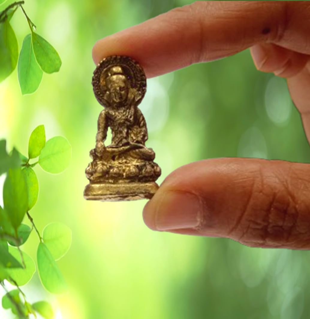 Purpledip Rare Miniature Statue Gautam Buddha in Varada Mudra, Unique Collectible Gift (11400)