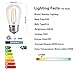 S14 Bulbs,2W LED Bulbs, Vintage Edison Led Light Bulbs,2700K (Warm White), 200 lumens, E26 Medium Base Lamp, Great For String Lights, Commercial Lighting, Patio, Wedding,Party, NOT-Dimmable,15 Pack