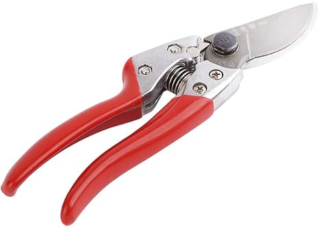 Amazon Co Jp 剪定ばさみ 果樹の花太い枝の花はさみ省力剪定支店ガーデンシアーズガーデニングツール Home Kitchen