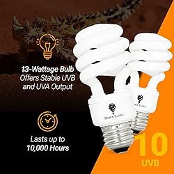 2 Pack 13-Watt Reptile Bulb Desert UVA UVB Light