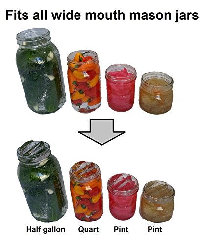 3 kit+Complete+fermentation+Sauerkraut+fermented+food+Premium