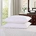 Zoom High Quality Goose Feather Bed Pillows ,2-Pack,White, Standard Size