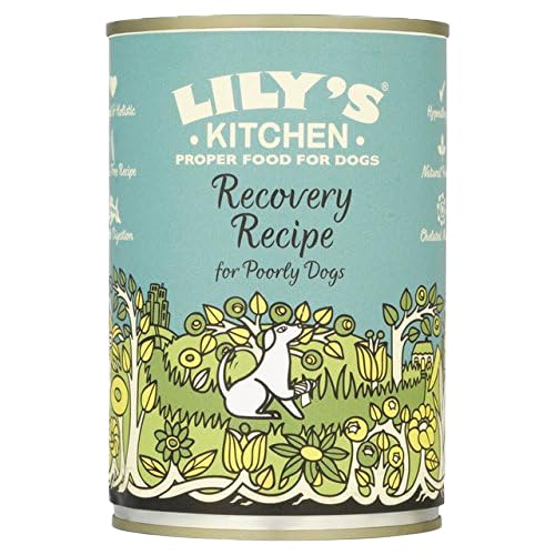Lily's Kitchen Recovery Recipe 400g each tin (Pack of 3)