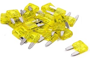 FymuSing 20 pcs 20A Mini Blade Fuse, Automotive Fuse for Car Truck