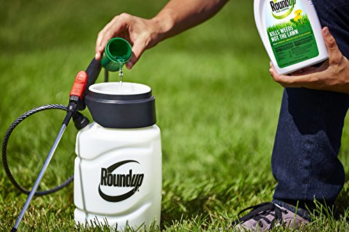 4 Roundup+Lawns+Concentrate+Northern+32oz