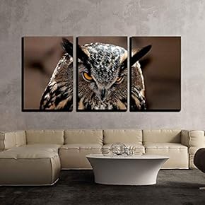 3 Piece Canvas Wall Art - Great Horned Owl Portrait - Modern Home Art Stretched and Framed Ready to Hang - 16"x24"x3 Panels