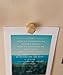 Original Wood Gem Push Pins (Extra Large) Geometric Faceted Thumb Tacks