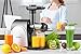 Juicer Masticating Juicer, Aicook Juice Extractor, Cold Press Juicer Machine, Higher Juicer Yield and Drier Pulp, with Quiet Motor and Reverse Function, Easy to Clean with Brush