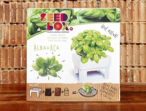 SeedBox SBCUAL - Huerto Urbano de albahaca: Amazon.es: Jardín