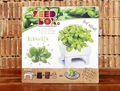 SeedBox SBCUAL - Huerto Urbano de albahaca: Amazon.es: Jardín