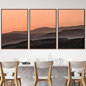 signwin 3 Piece Framed Canvas Wall Art Orange...