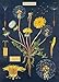 Dandelion and Cacti/Succulent Poster Set of 2 Cavallini 20 x 28 Wrap